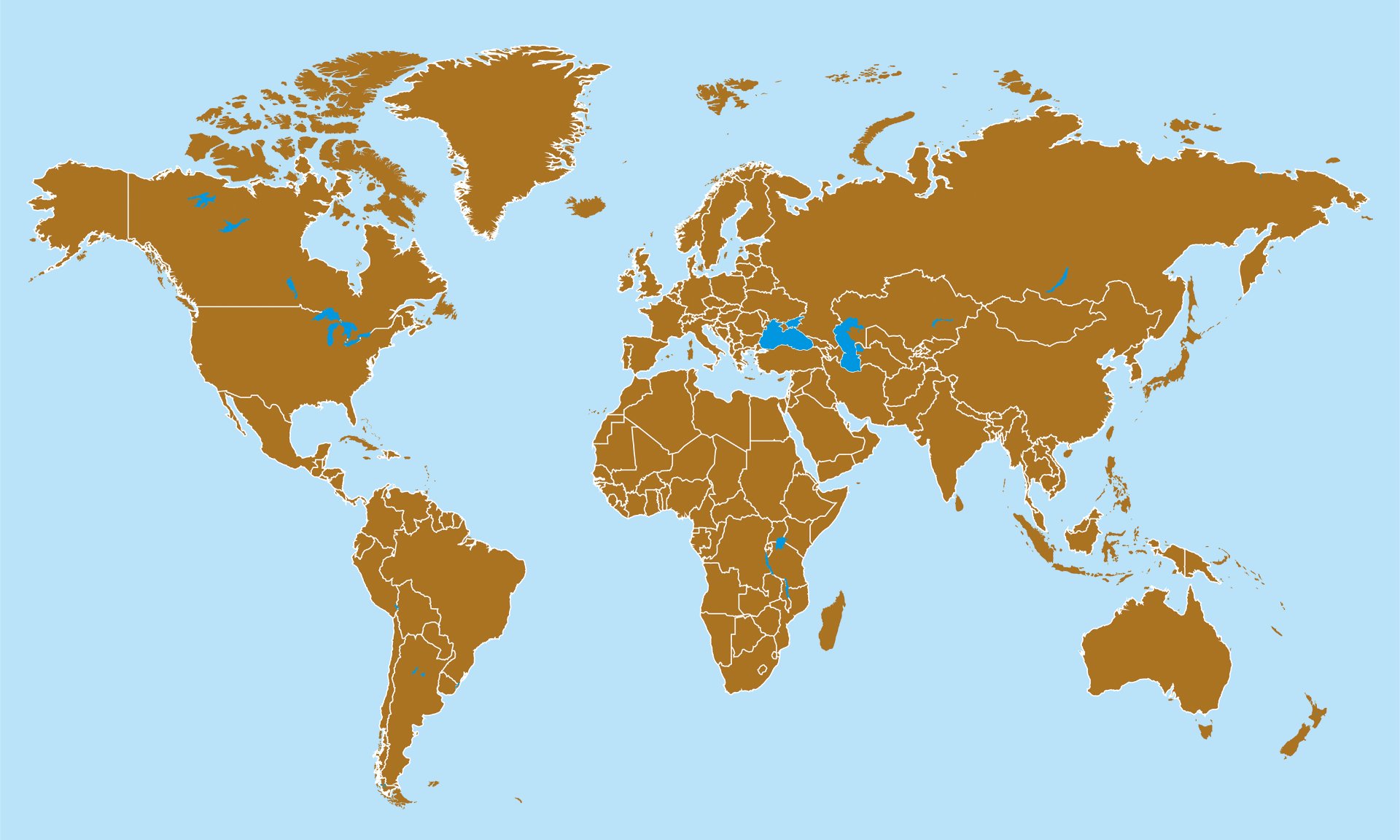 World Map